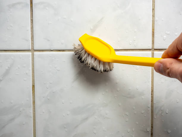 West Allis, WI Mold Removal Company