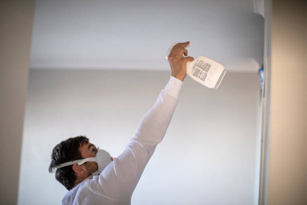 Best Attic Mold Removal  in West Allis, WI