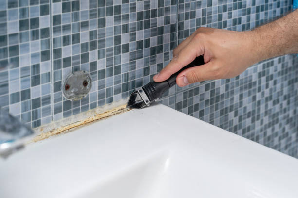 Best Emergency Mold Removal  in West Allis, WI