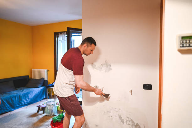 Best Black Mold Removal  in West Allis, WI