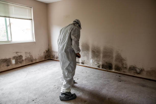 Best Mold Testing  in West Allis, WI